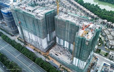 Cập nhật Tiến độ Dự án Tháng 01/2026