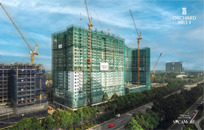 Cập nhật Tiến độ Dự án Tháng 12/2025
