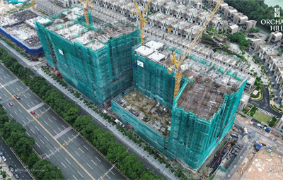 Cập nhật Tiến độ Dự án Tháng 8/2025